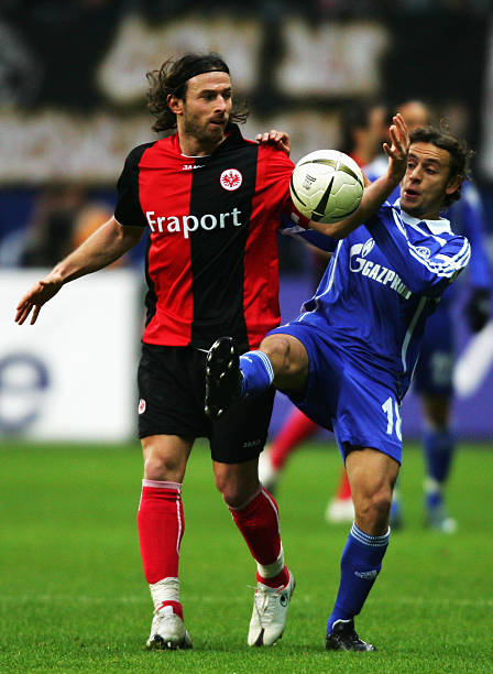 中分属不同 中分属不同